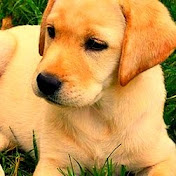 Profile Picture of KENNEDY RICHARDSON (@kennedyrichardson6079) on Youtube