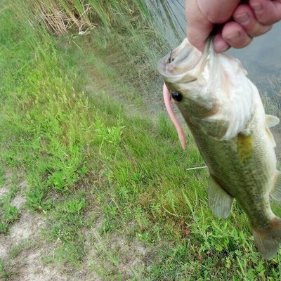 Profile Picture of David Winegar (@davidw167) on Twitter