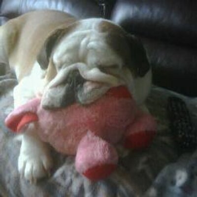 Profile Picture of Mike Seaton (@MikeSeaton69) on Twitter