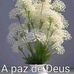 Profile Picture of Gisela Fernandes (@Gisela-Fernandes) on Facebook