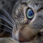 Profile Picture of Jim Tipton (@jimtipton_photography) on Instagram