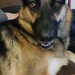 Yvette Link - Facebook Profile Picture of Yvette Link (@Yvette-Link) on Facebook