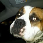 Profile Picture of Hubba Olmstead (@hubba.olmstead) on Facebook