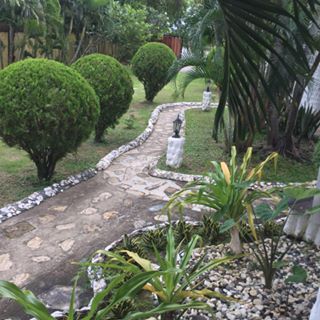 Profile Picture of Shinichiro Hayashi (@shinichiro.hayashi.965) on Facebook