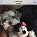 Profile Picture of Simone Vazquez (@simone.vazquez.18294) on Facebook