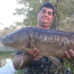 Profile Picture of jaime mermejo royo (@pescador_del_ebro) on Instagram