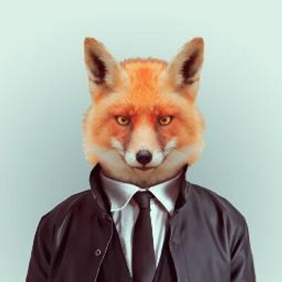 Profile Picture of Maxime Gauthier (@GauthierMaxime) on Twitter