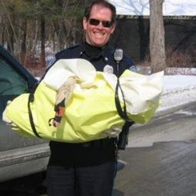 Profile Picture of Harold Harris 7 (@richard_maclean) on Twitter