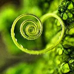 Profile Picture of Ralph Steele (@agroshe) on Instagram