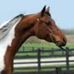 Profile Picture of Tammie T Vanderbilt (@tammiet.vanderbilt.5) on Facebook