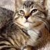 Profile Picture of Al Cap (@al.capoldo) on Facebook