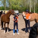 Profile Picture of MAUD VAN WALSTIJN JILL BOGERS (@dressageblogmaudjill) on Instagram