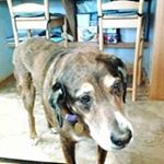 Profile Picture of Joey Briggs (@joey.briggs.718) on Instagram