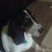Profile Picture of Larry Hagerman (@larry.hagerman.144) on Facebook