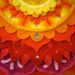 Profile Picture of Laura Mize (@mizeyes) on Pinterest