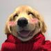 Profile Picture of Gunn (@draco.draco.7923030) on Facebook