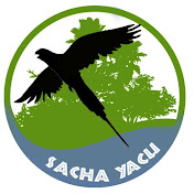 Profile Picture of Wilfrido Alvarez (@TheSachayacu) on Youtube