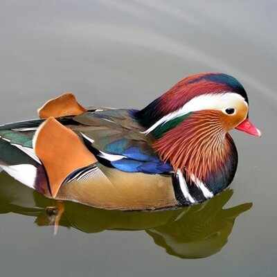 Profile Picture of Brad Wilkerson (@bewilkerson) on Twitter