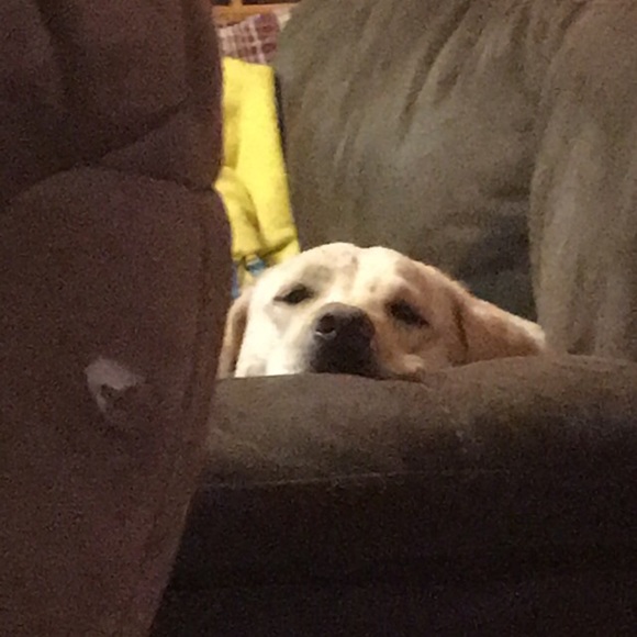 Profile Picture of Leah Beaner (@leahbeaner) on Poshmark