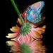 Profile Picture of Marilyn Conley (@marilynbconley) on Pinterest