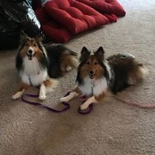 Profile Picture of Chris Turney (@cdturney724) on Twitter