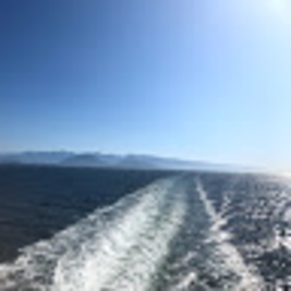 Jesse Martell - Poshmark Profile Picture of Jesse Martell (@martelljesse7) on Poshmark