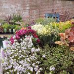 Profile Picture of George Gillespie (@earthninja.33) on Instagram