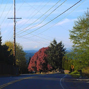 Profile Picture of Matthew Tappin (@tappinn) on Youtube