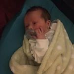 Profile Picture of Pat Reese (@patreese9180) on Instagram