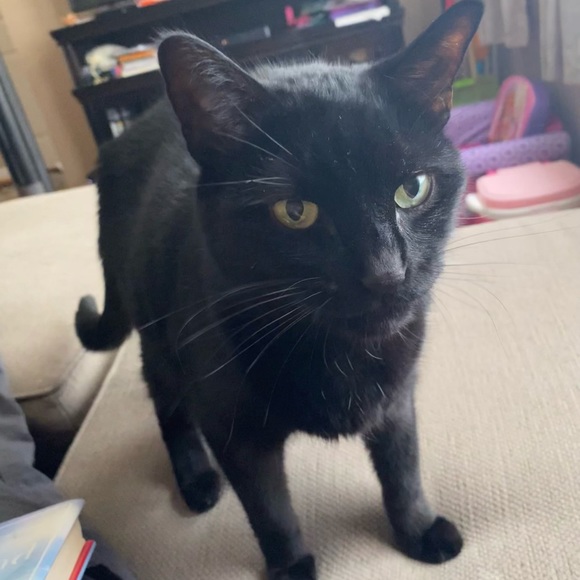 Profile Picture of Heather Nilan (@htr523) on Poshmark