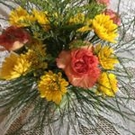 Profile Picture of Shirley (@shirley.kuhn) on Instagram