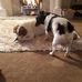 Profile Picture of James Dykstra (@james.dykstra.3745) on Facebook