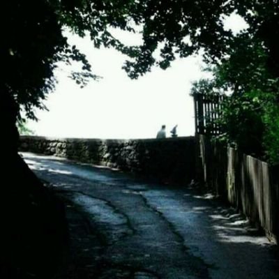 Profile Picture of ADIL SAEED (@ADILSAEED0) on Twitter