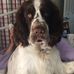 Profile Picture of Peter Johannsen (@peter.johannsen.7712) on Facebook
