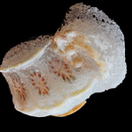 Profile Picture of Julia Sanchez (@j.sanchezgarcia) on Flickr