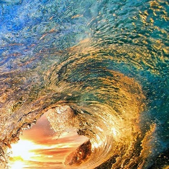 Profile Picture of Robert Schmidt (@robert_schmidt) on Poshmark