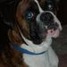 Profile Picture of Barbara Cordell (@bobbie1974) on Pinterest
