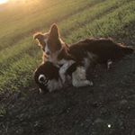 Profile Picture of Lucia Hancock (@luciahancock) on Instagram