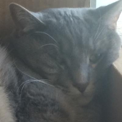 Profile Picture of Jess (@jess_markowitz) on Twitter