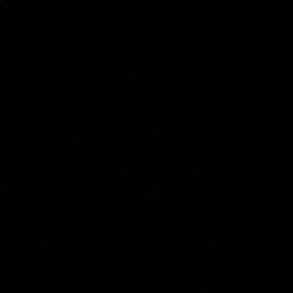 Profile Picture of Alexia Galeano (@lexxxg) on Poshmark