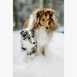 Profile Picture of Oliver ison (@enandyt_) on Instagram