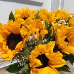 Alyssa Konz-Cantley - Instagram Profile Picture of Alyssa Konz-Cantley (@cantleycrew) on Instagram