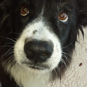 Profile Picture of Steve Hilton (@MrSnake50ish) on Youtube