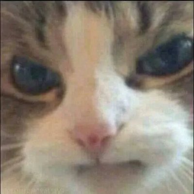 Profile Picture of Kevin Mutz (@MutzKevin) on Twitter