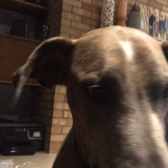 Profile Picture of Corey Portfolio (@corfolio) on Poshmark