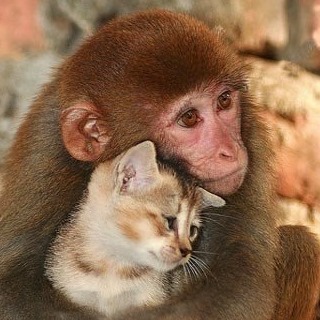 Profile Picture of Colin Yan (@yancolin.afa) on Facebook