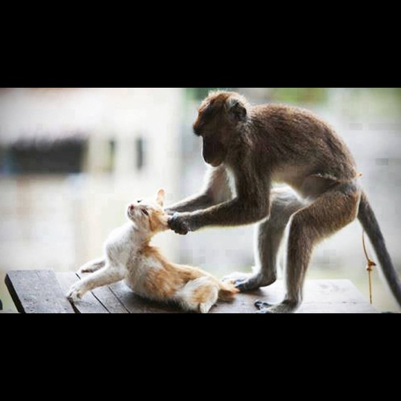 Profile Picture of Noelline Manasse (@noelline22) on Poshmark