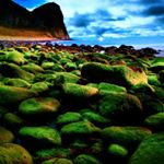 Profile Picture of peter benvenuto (@peterbenvenuto) on Instagram
