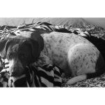 Profile Picture of Athena Marilyn McHenry 🎀 (@athenamarilynn) on Instagram