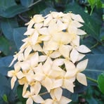 Profile Picture of Moumita Roy Chowdhury (@moumita.roychowdhury.1042) on Facebook
